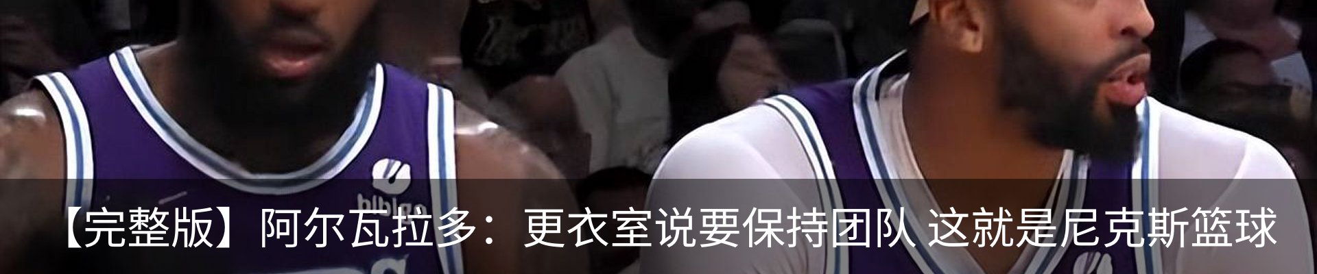 新闻动态