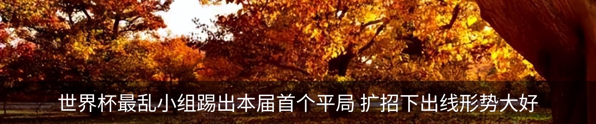 新闻动态