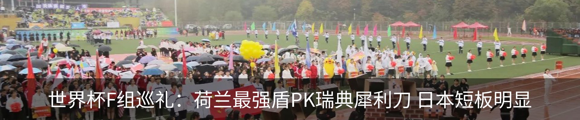 新闻动态
