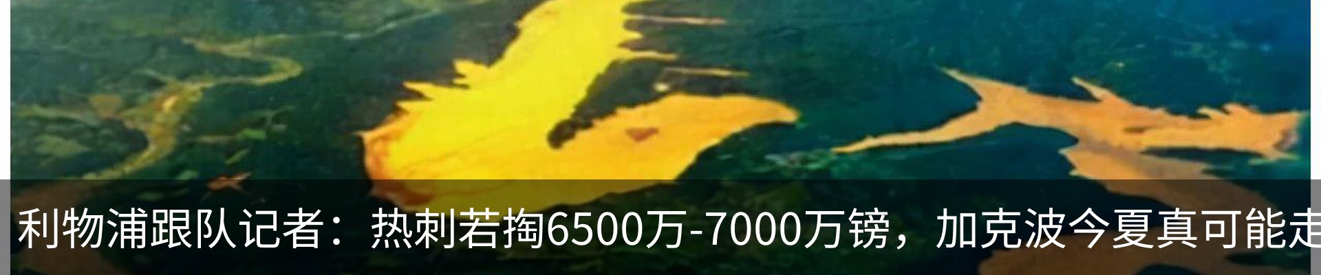 新闻动态