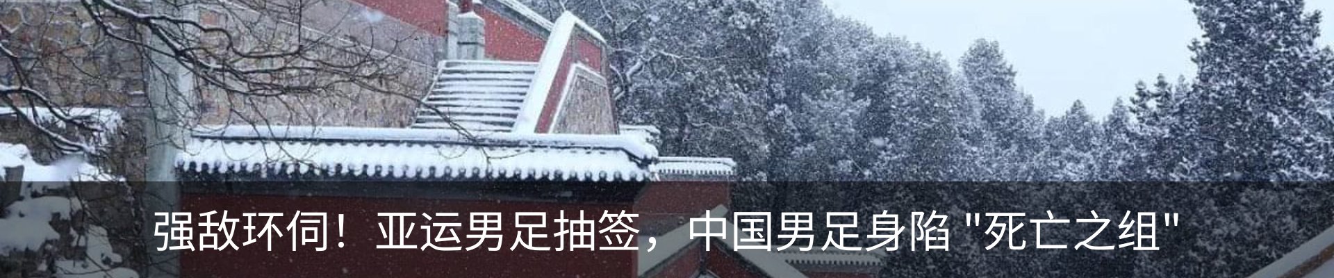 新闻动态