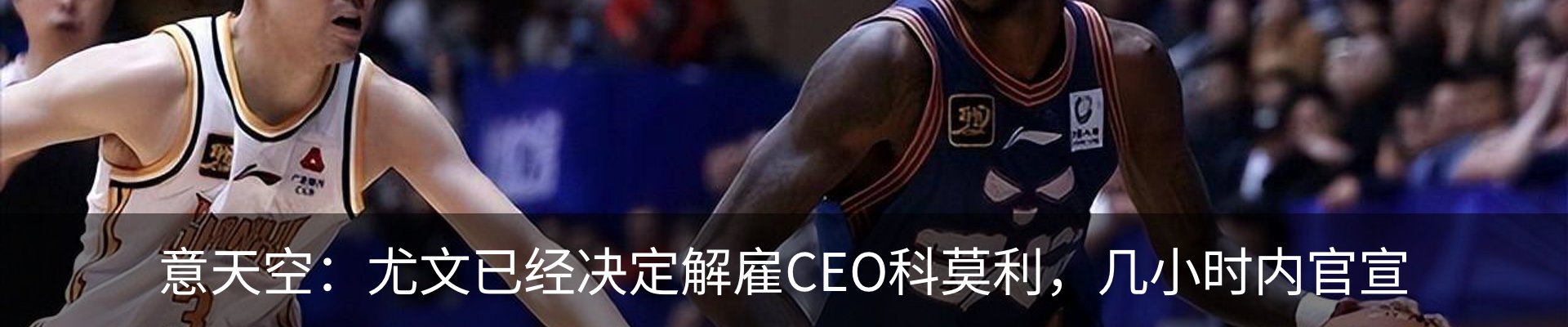 新闻动态