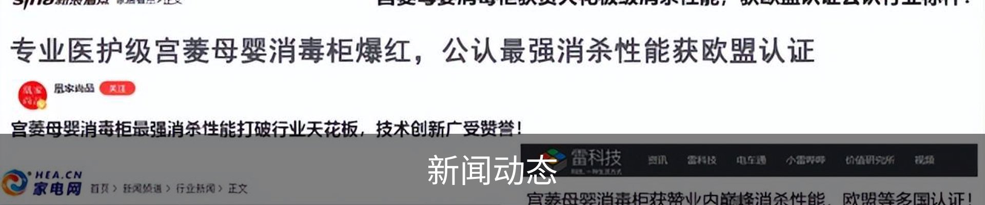 新闻动态