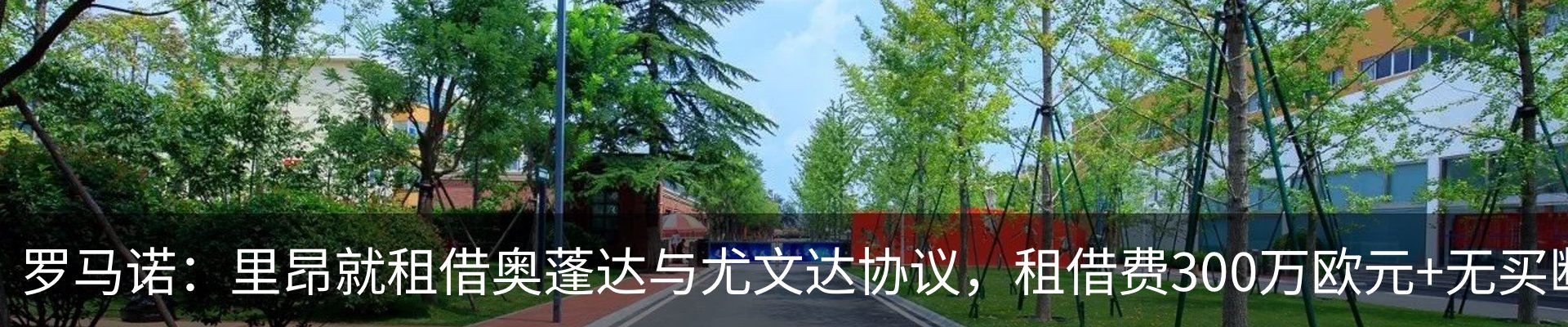 新闻动态