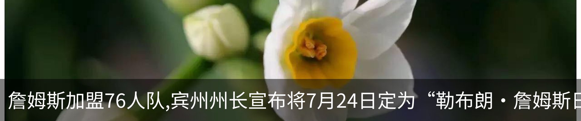 新闻动态