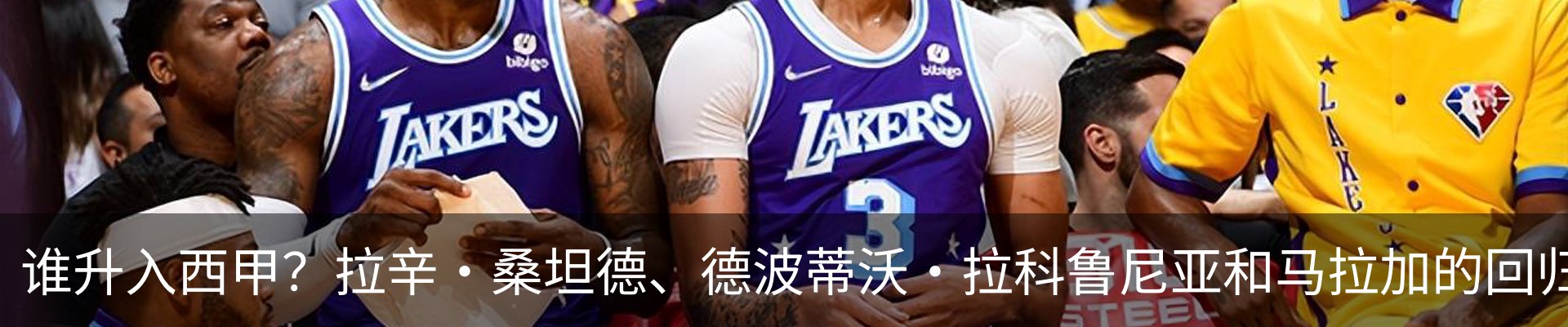 新闻动态
