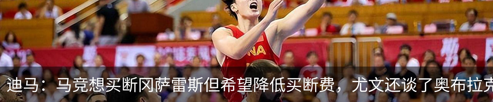 新闻动态