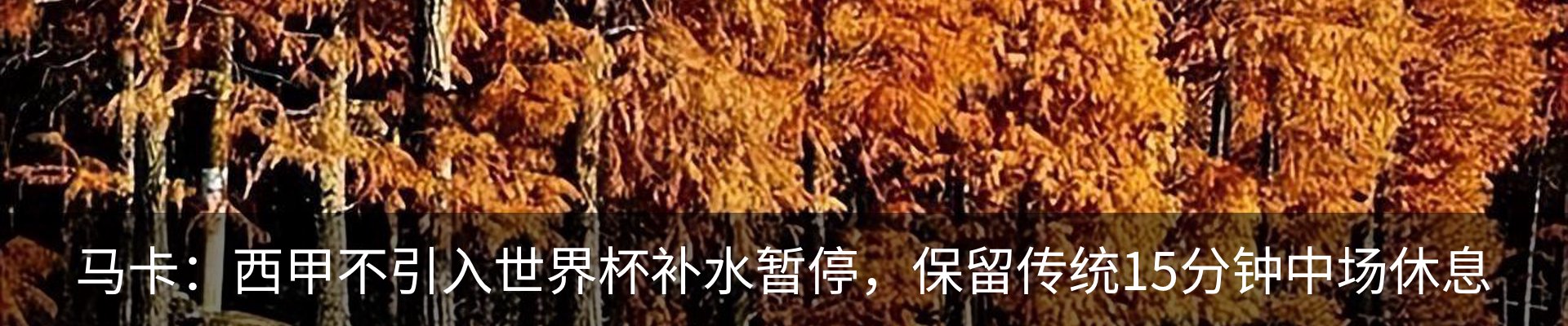 新闻动态