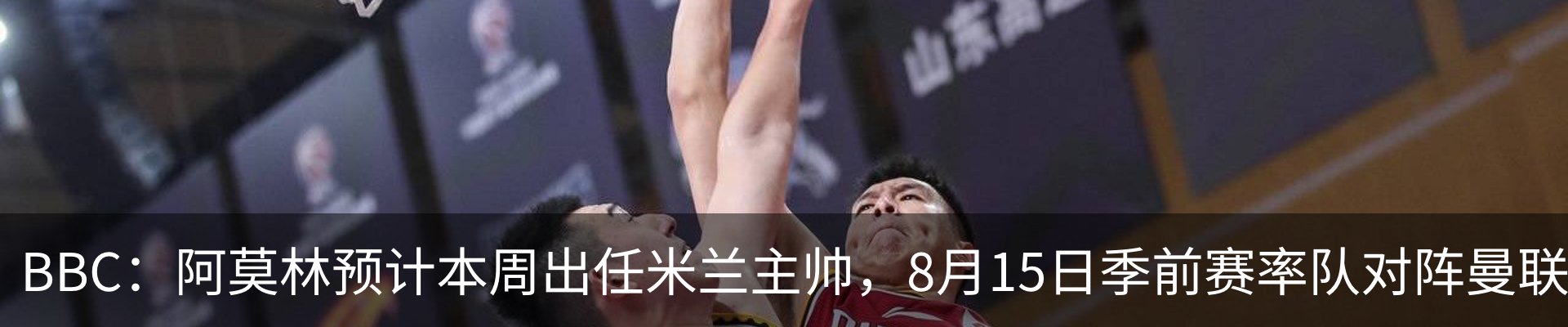 新闻动态