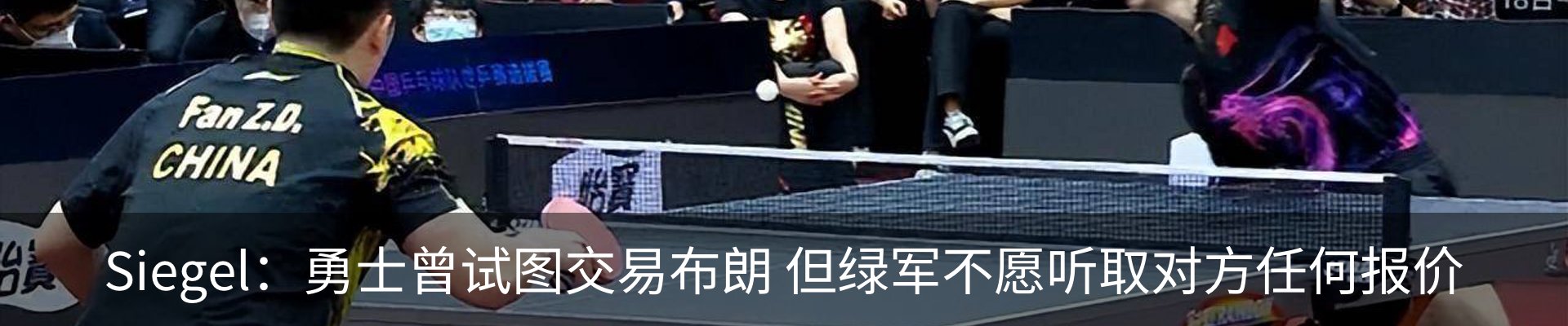 新闻动态